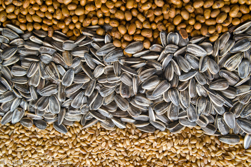 谷物與棉花種植 中國(guó)農(nóng)業(yè)的雙重支柱